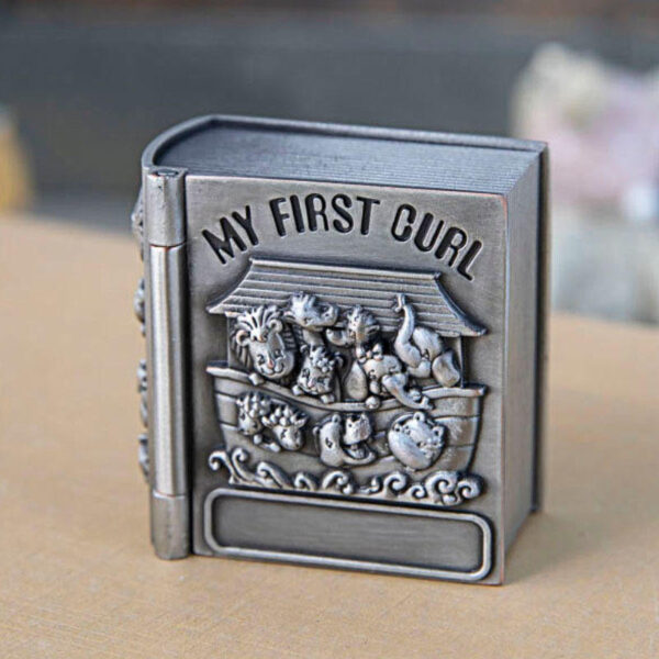 H2da8a995cbf2439bbb1af8b84967f8d8E KOMI Metal High-grade Creative Baby Hair Baby Teeth Collection Box Baby Hair Tooth Collection